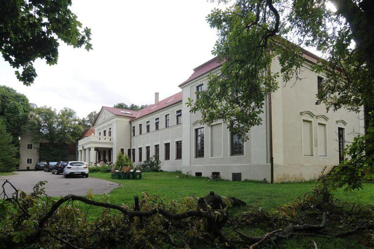 Grąbkowo pełne sztuki