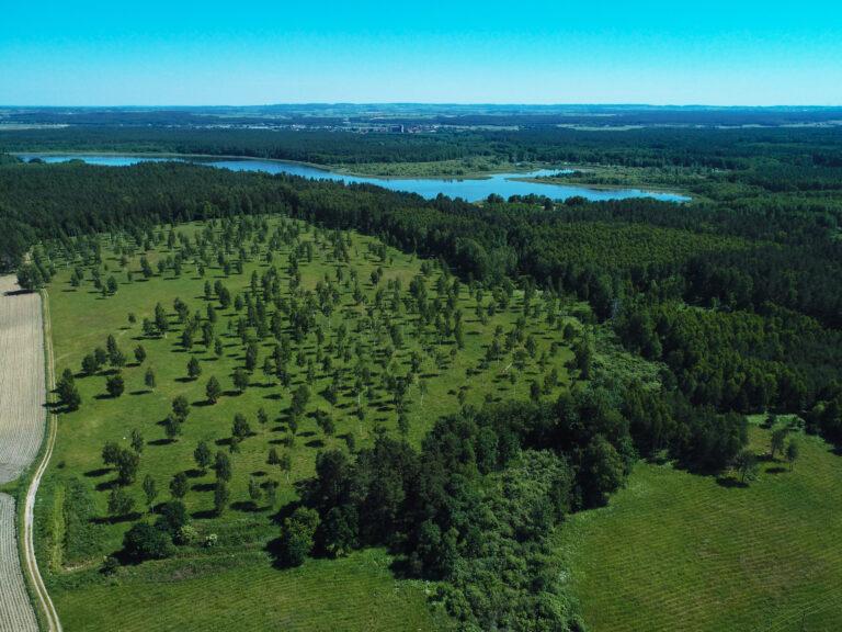 Nowe, atrakcyjne działki na Mazurach o dużym potencjale inwestycyjnym
