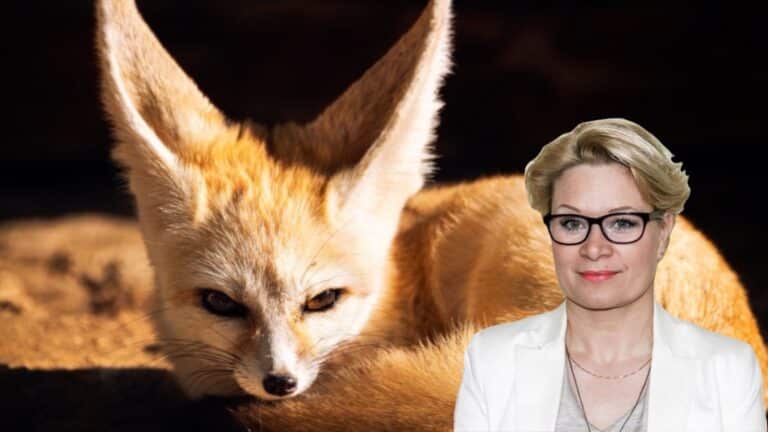 Dr Agnieszka Mościcka-Teske: Pojedyncze zachowanie mobbingowe może nie być patologiczne