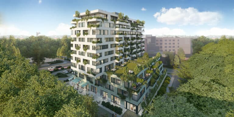 Damrota Garden oaza zieleni w centrum Katowic
