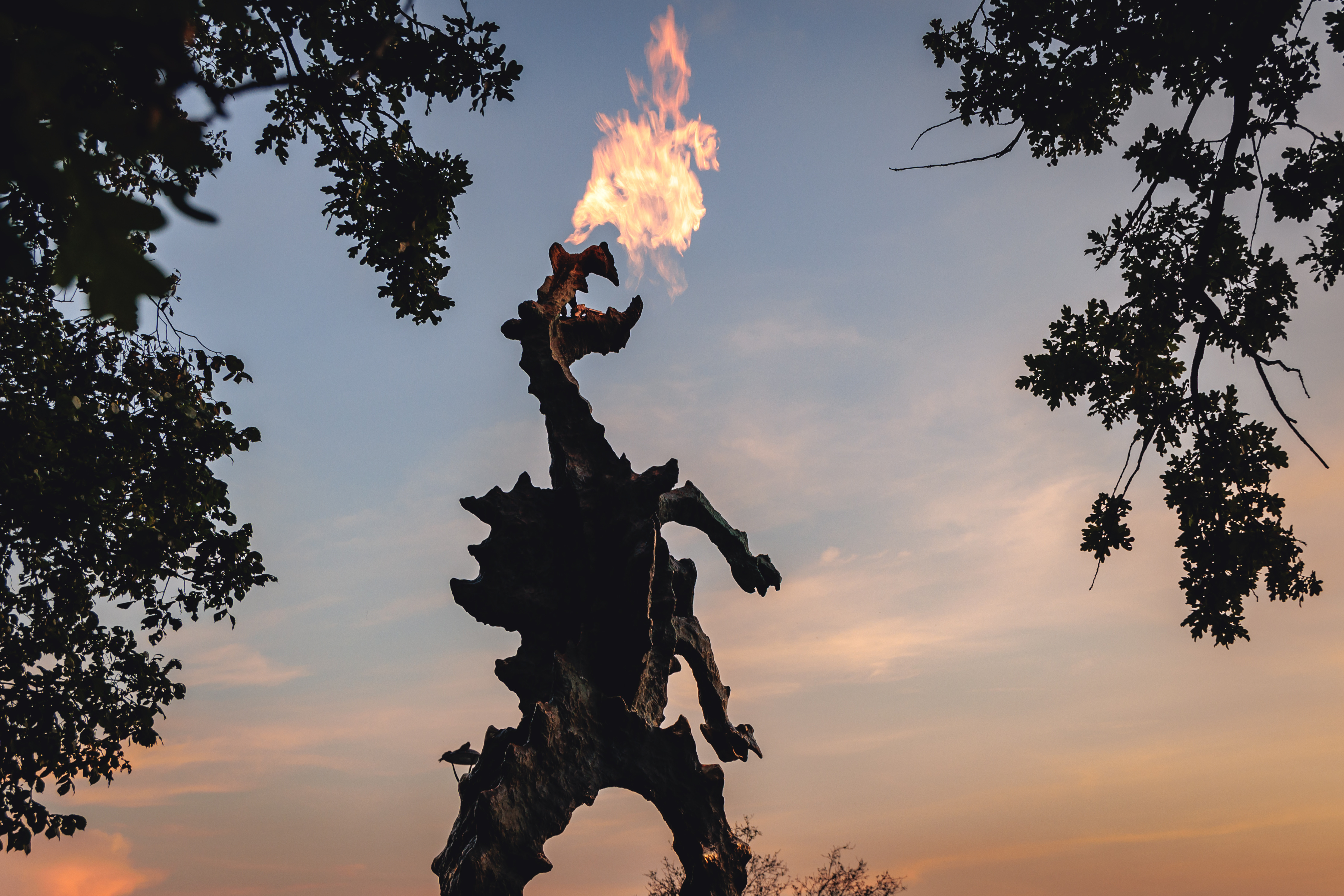 Mieszkańcy Krakowa: Nie wygaszajcie wawelskiego smoka!