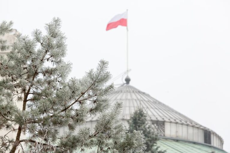 Noworoczne deklaracje: jak politycy widzą 2026 rok