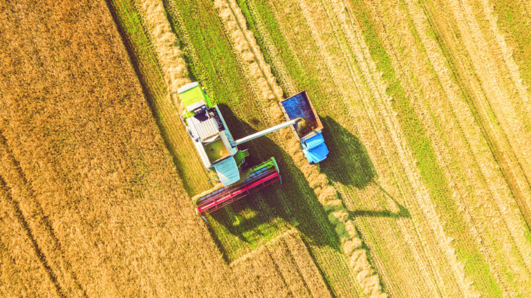 Biznes raport – Ubezpieczenia i finansowanie agrobiznesu